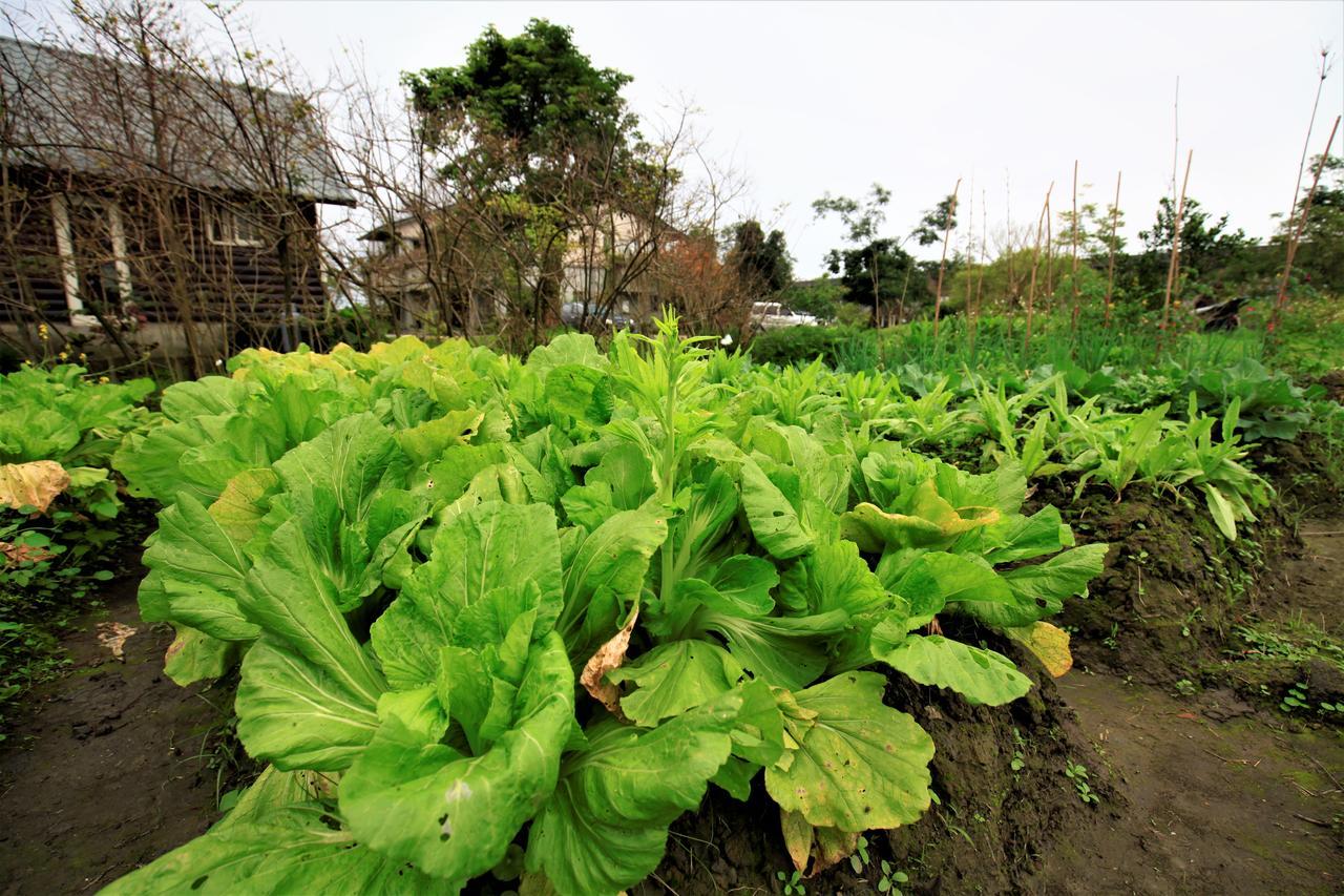 Green Forest Villa Yilan Buitenkant foto