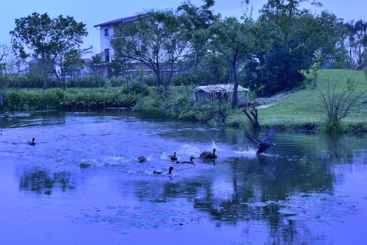 Green Forest Villa Yilan Buitenkant foto