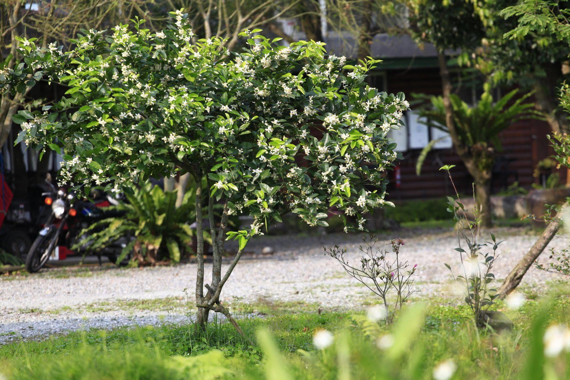 Green Forest Villa Yilan Buitenkant foto